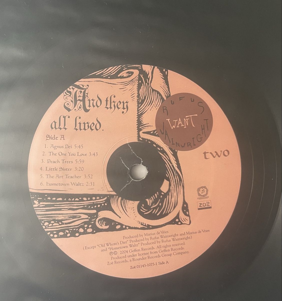 Dischi in vinile: Rufus Wainwright - Want Two - Vinyl LP – Usato da Olten venduto da Bluespapst 2