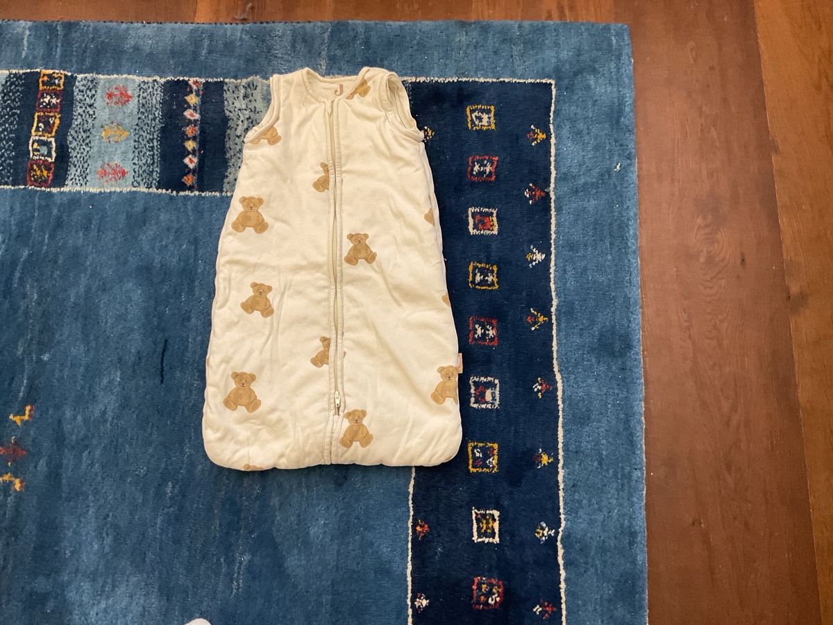 Sacchi a pelo: Schlafsack mit Teddybär-Muster Grösse:70cm 2-3 Monate  – Nuovo (secondo la descrizione) da Zürich venduto da Weber020 2