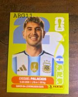 Panini Sticker ARG11