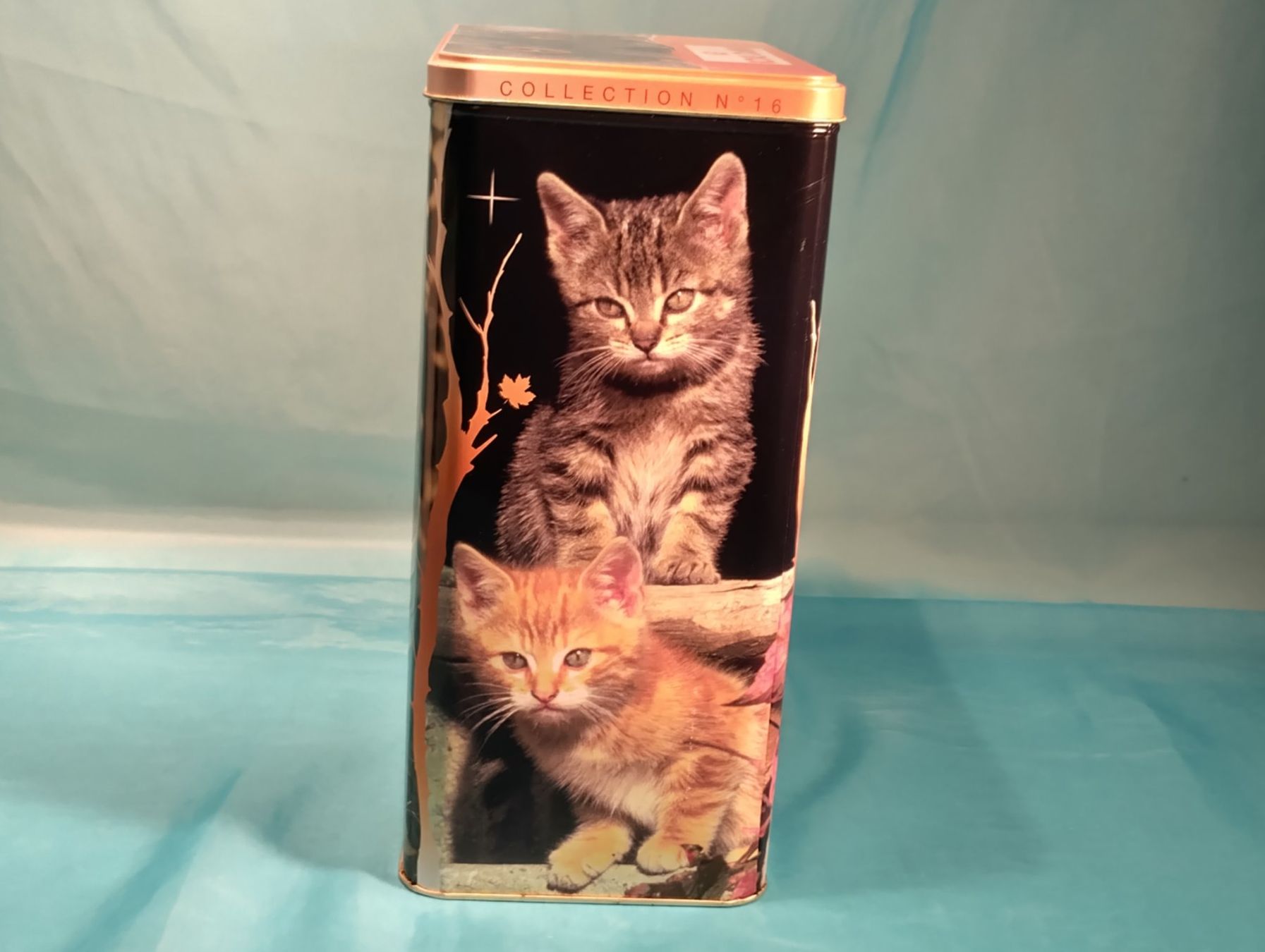 Sonstige Dekorationen & Accessoires: Grosse ROYAL CANIN Blechbüchse, Katzen – Gebraucht aus Bellach von JingleCherry 3