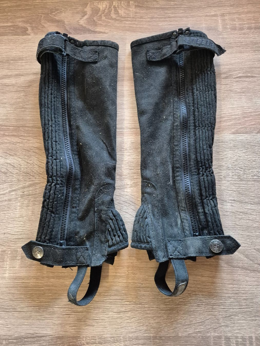 Brides, licols: Chaps KM – Neuf (Voir description) à Meggen par Orrinka20