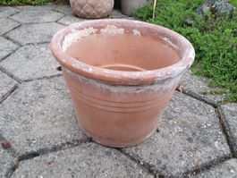 Kleiner Blumentopf