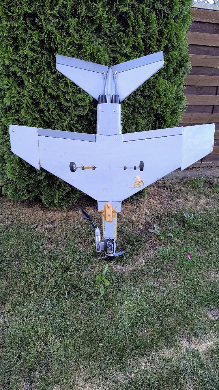 RC Modellbau: F-4D Phantom II für Bastler – Gebraucht aus Romanshorn von Warthogwarthog 5
