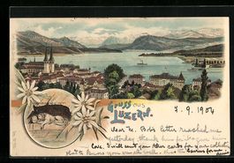 Litho Luzern, Ortsansicht aus der Vogels