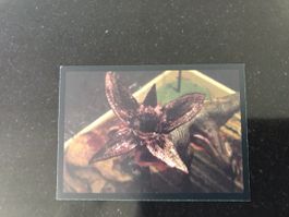 Panini Stranger Things la dernière aventure - Num. 52