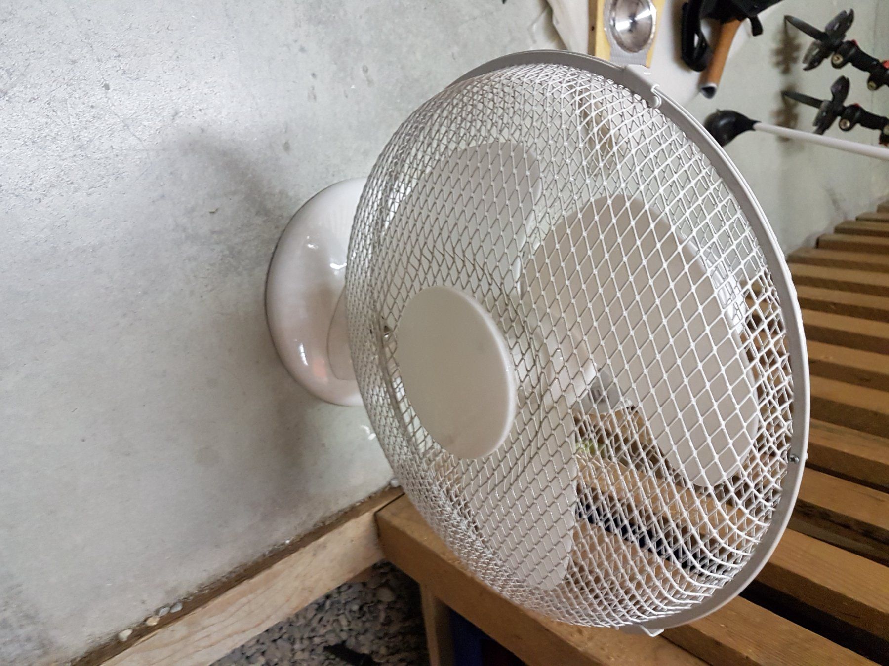 Ventilatori: Tisch Ventilator – Usato da Chur venduto da Piepmatz20
