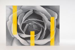 ÖL auf Leinwand, 60 x 80 cm