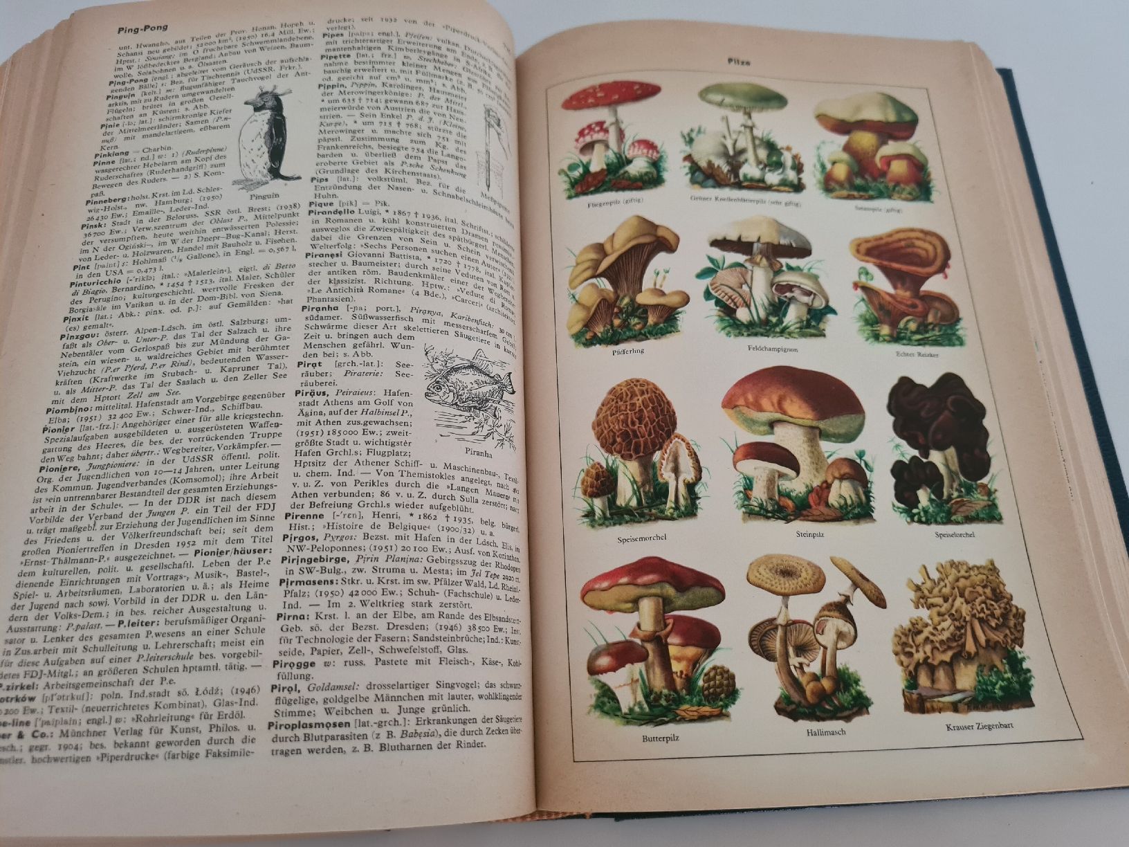 Libri: Altes Einband LEXIKON von A-Z – Usato da Steinen venduto da turbogeiss99 1