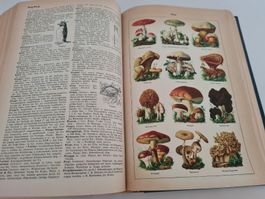 Altes Einband LEXIKON von A-Z