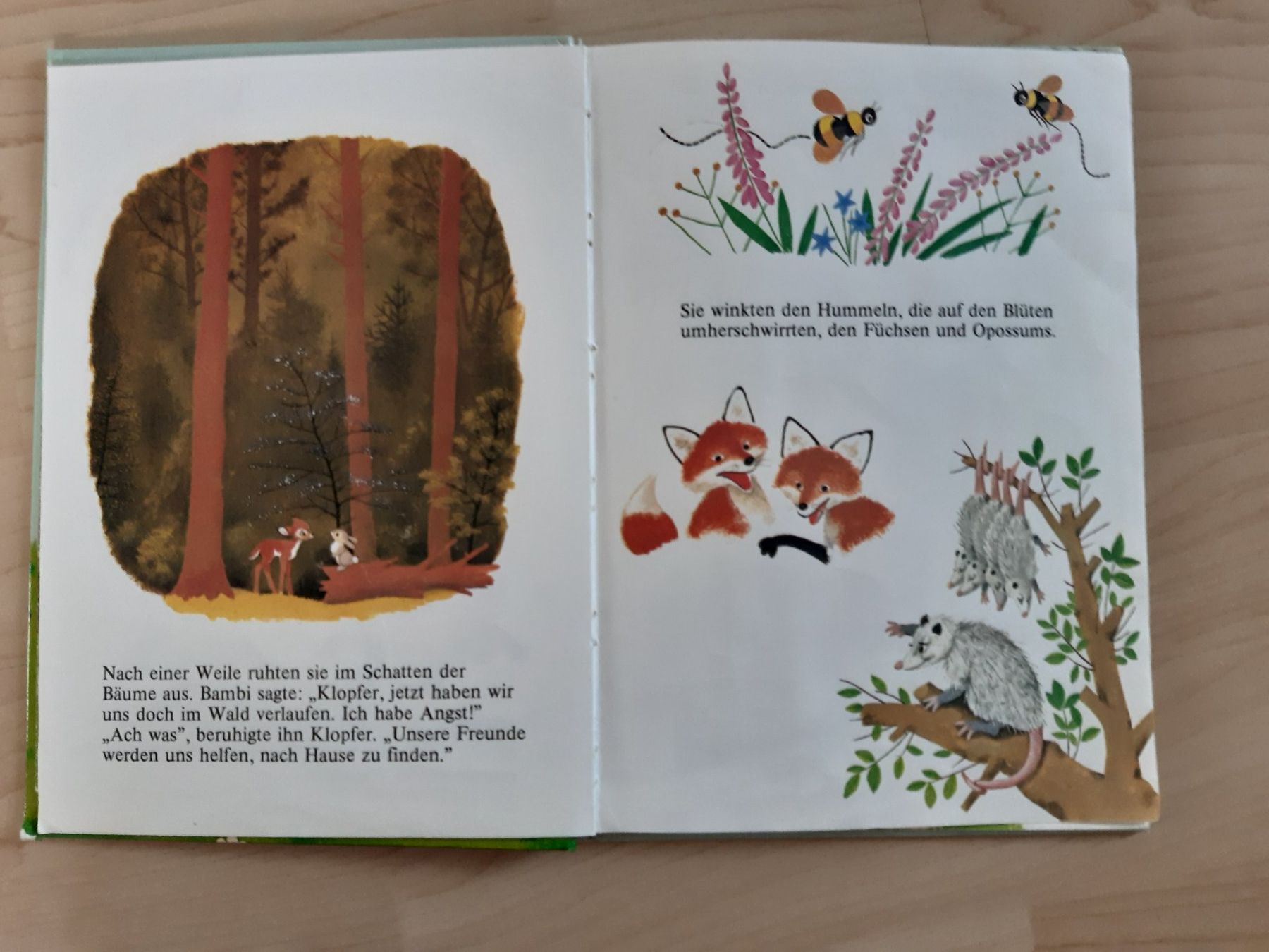 Libri: Bambi – Usato da Mülligen venduto da gipseli 1