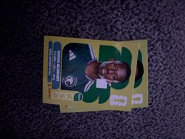 Panini Sticker KSA 15, Saudi Arabien WM 2026
