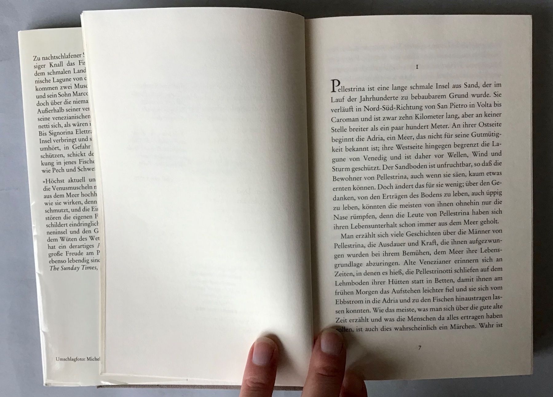 Libri: Donna Leon, Fall 10: Das Gesetz der Lagune – Usato da Bubendorf venduto da Alpenheidi 7