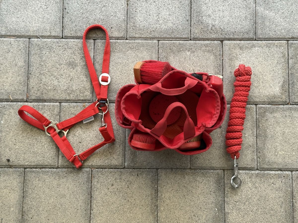 Altro per la casa: Putzset für Pony/Shetty – Usato da Beckenried venduto da car_7d2w 1