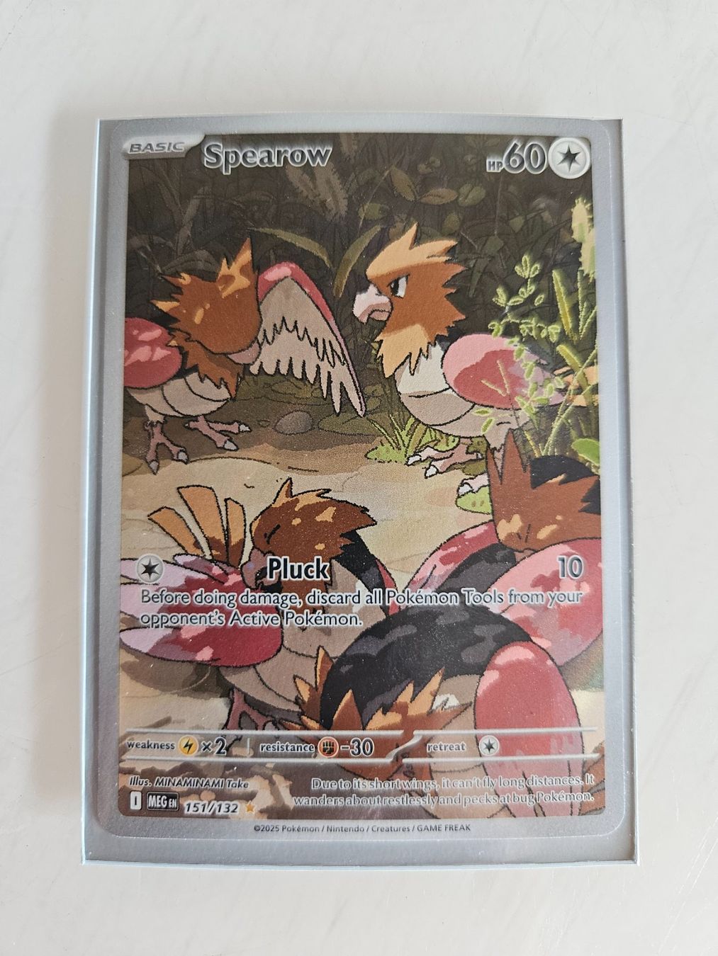 Pokémon Carte collezionabili: Pokémon Spearrow Karte 151/132 – Usato da Basel venduto da True_Hofer_Store
