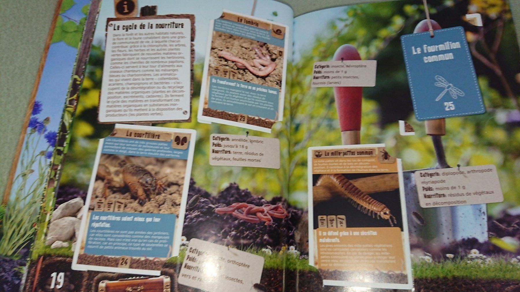Libri: Le Jardin Quelle Aventure – Usato da Cortaillod venduto da signep 2