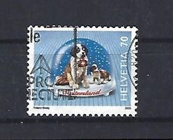 2000 - Souvenirs / Bernhardiner