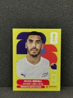 Panini Wm 2026 Sticker :Michael Boxall Nzl 4
