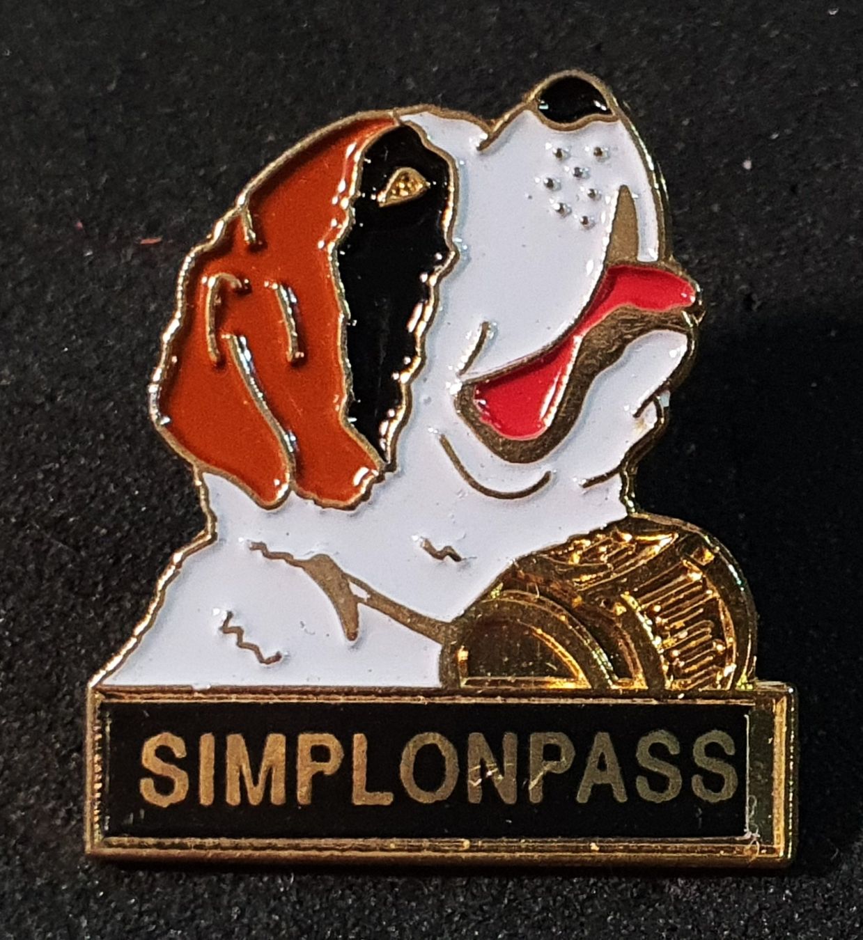 Placchette & Badge: GG208 - Pin Bernhardiner Hund Simplon / Simplonpass – Usato da Reinach BL venduto da Boston-Verkauf