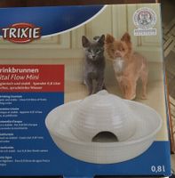 Katzen Trinkbrunnen
