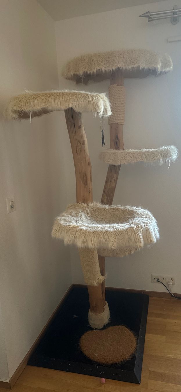 Arbres à chats: Katzenkratzbaum aus Naturholz – D'occasion à Regensdorf par dan_p2pm 4
