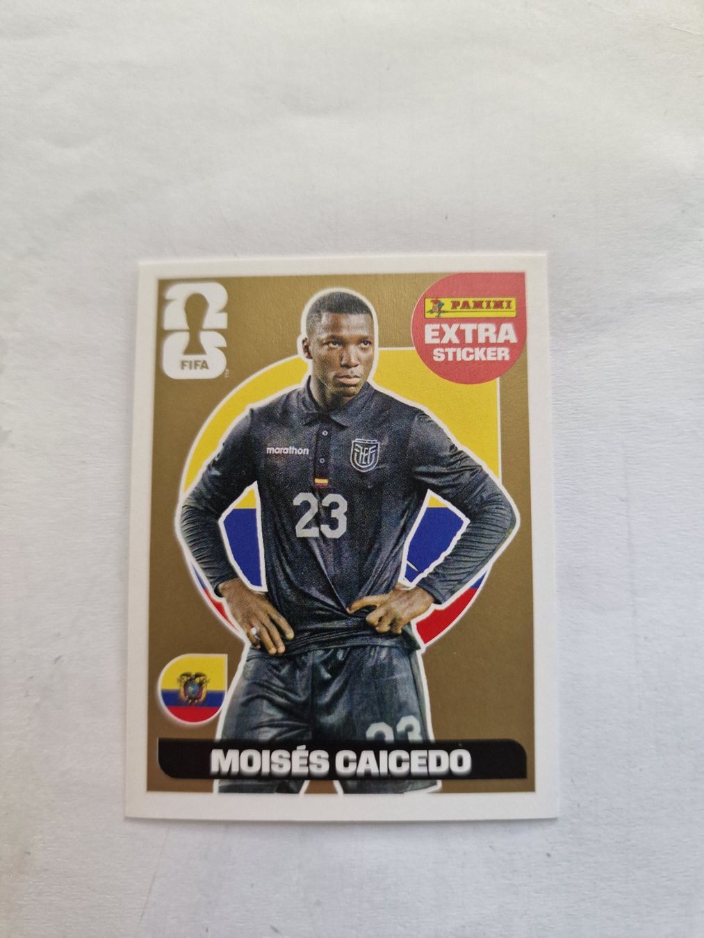 Panini Carte collezionabili: Panini WM 2026 extra Stickers - Gold – Nuovo (secondo la descrizione) da Adliswil venduto da vendor123 2
