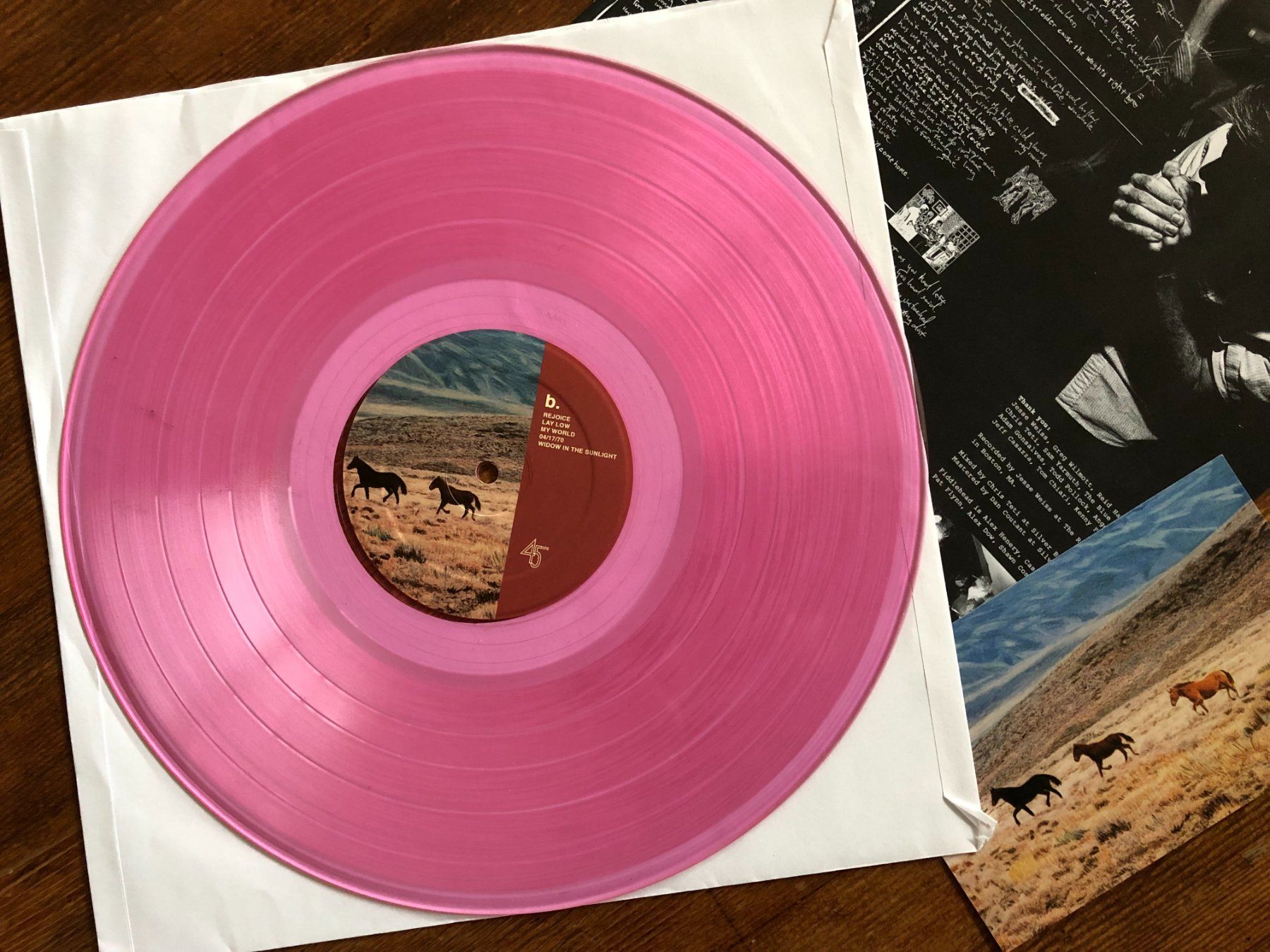 Schallplatten: Fiddlehead – Springtime And Blind LP, Post-Rock, Emo, HC – Gebraucht aus Luzern von Schlafenicht00 1