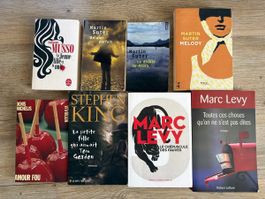 Lot  de 8 livres - Lévy, Musso, King, Suter .... Bestsellers