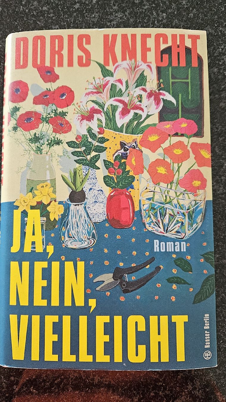 Libri: Buch Doris Knecht Ja, nein, vielleicht  – Usato da Hildisrieden venduto da Schteigeiss