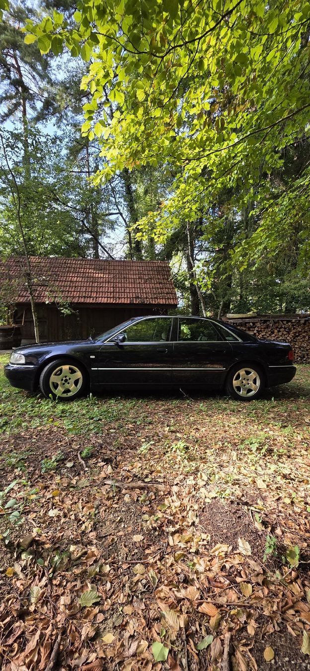 Audi Autos: Audi a8 3.7 v8 quattro youngtimer – Gebraucht aus Cugy FR von nih_9dzj 2