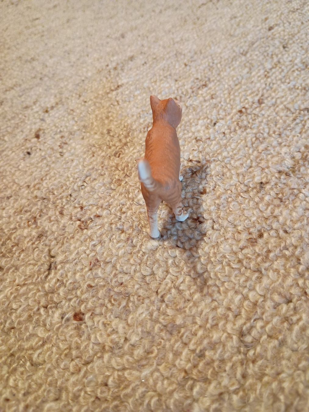 Schleich Statuette: Schleich 13836 Katze, stehend, 2016 – Nuovo (secondo la descrizione) da Buchs AG venduto da ReaNaTsch 3