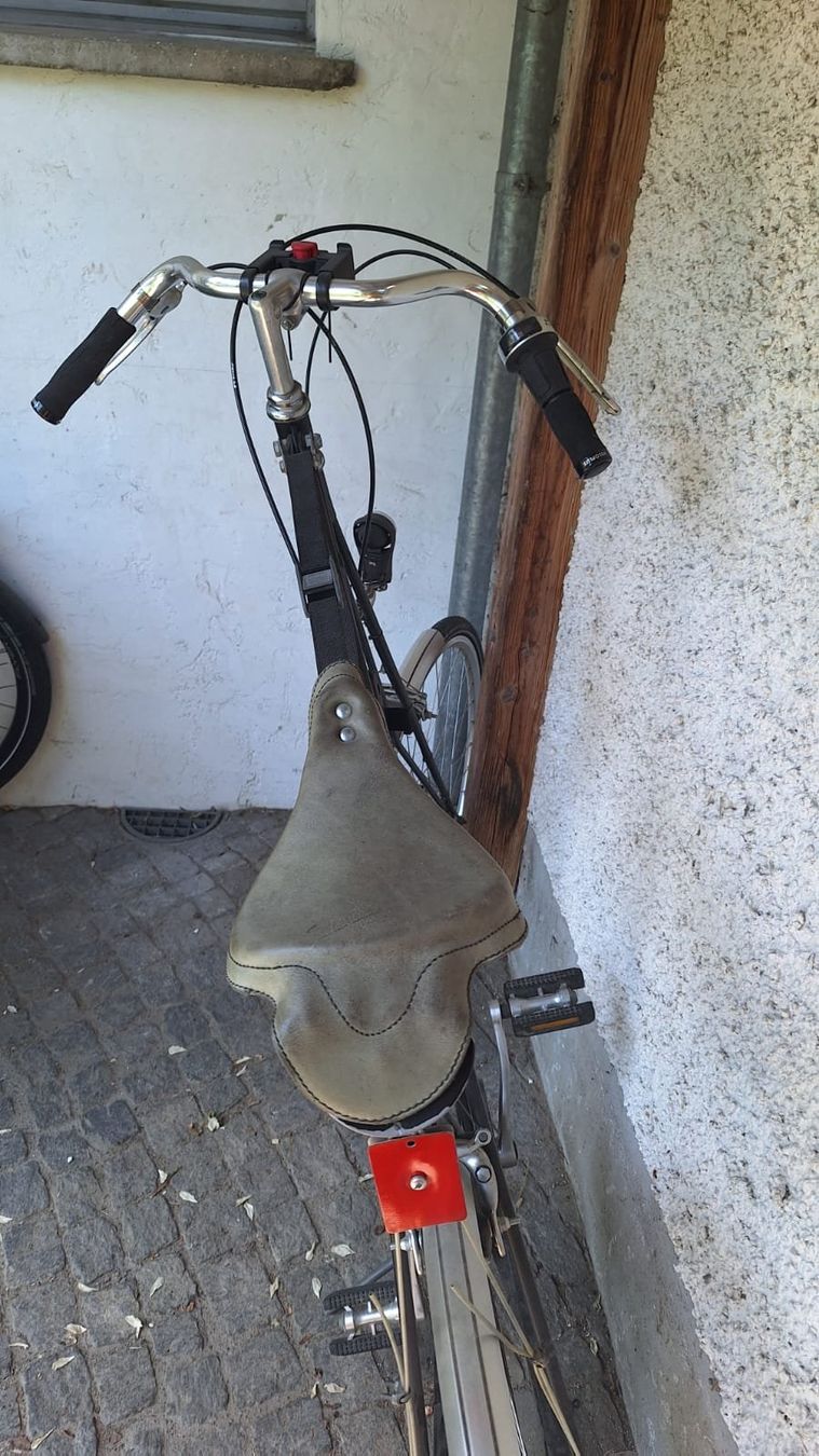Biciclette: Pedersen Hängesattelvelo > ein Hingucker – Usato da Hinwil venduto da dun_tt2z 2