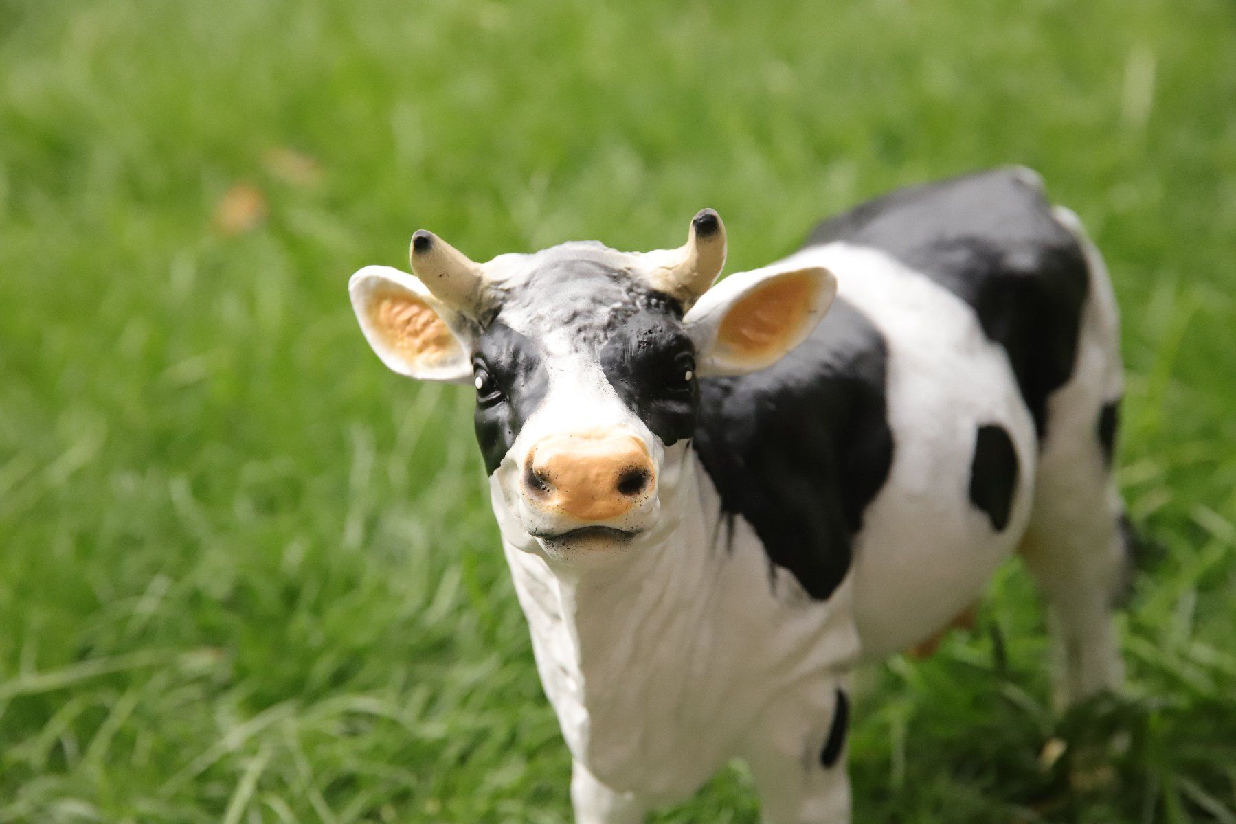 Statuette: (COPIE) Petite vache en résine – Nuovo e nell'imballaggio originale da courtételle venduto da capsule05 4