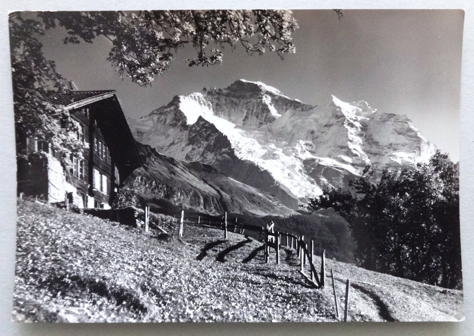 Ansichtskarten: Wengen, Blick gegen Jungfrau – Gebraucht aus Fétigny von Billy2miny