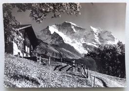 Wengen, Blick gegen Jungfrau