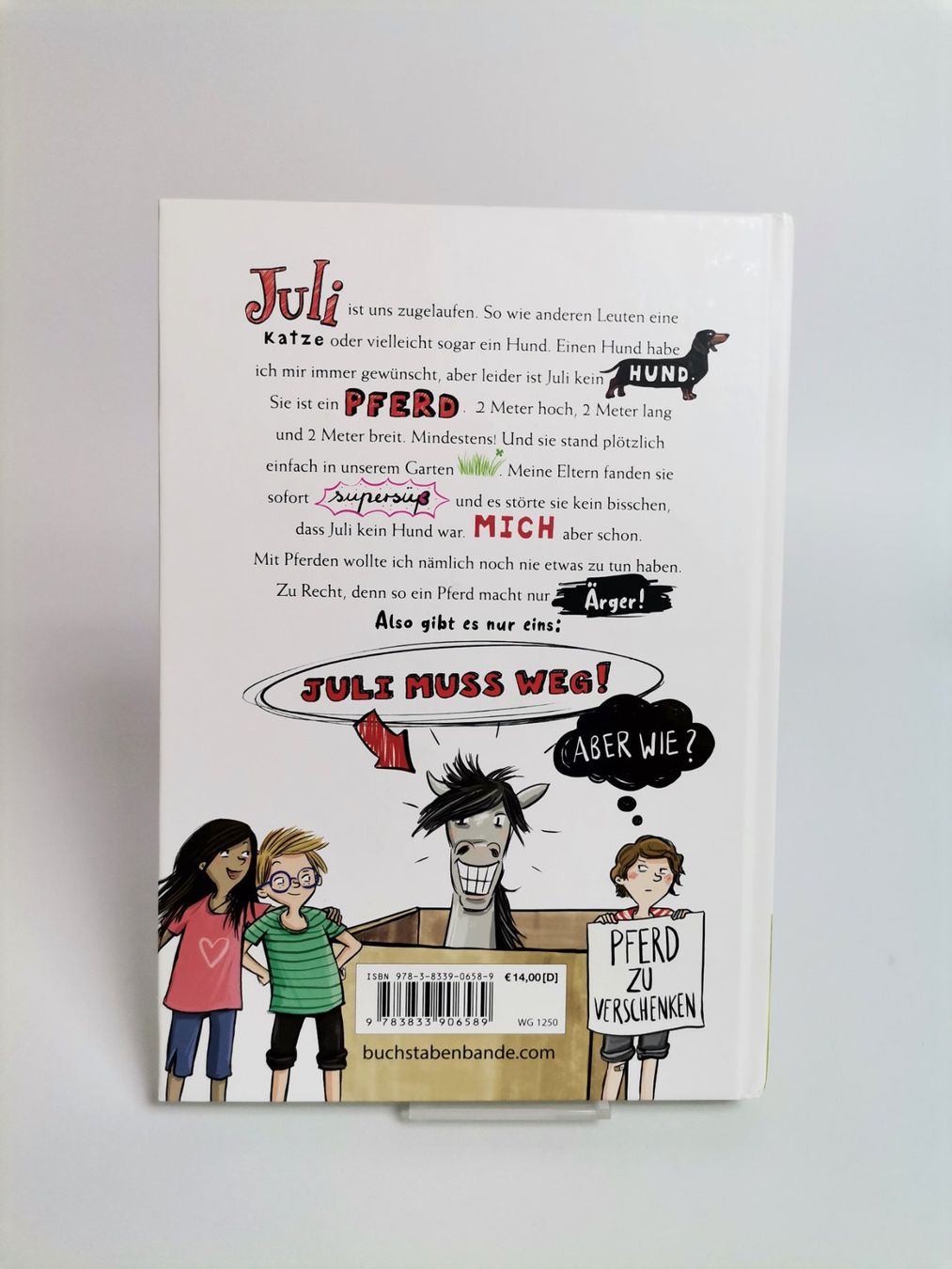 Libri: BUCH Und dann kam Juli – Usato da Schaffhausen venduto da Restwert_SH 1