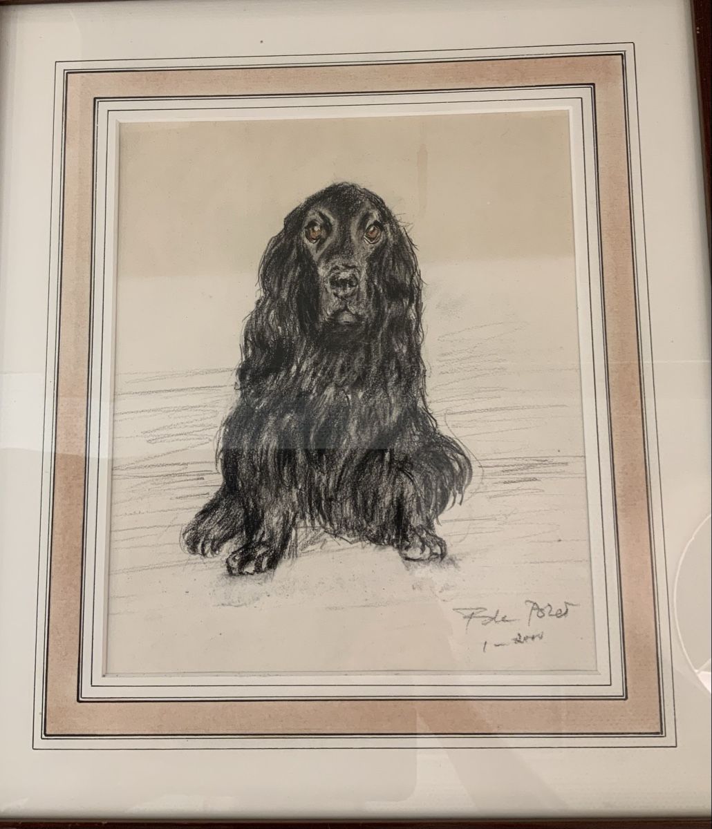 Dipinti: Dessin de François de Poret – Usato da rolle venduto da Tontonjulot 2