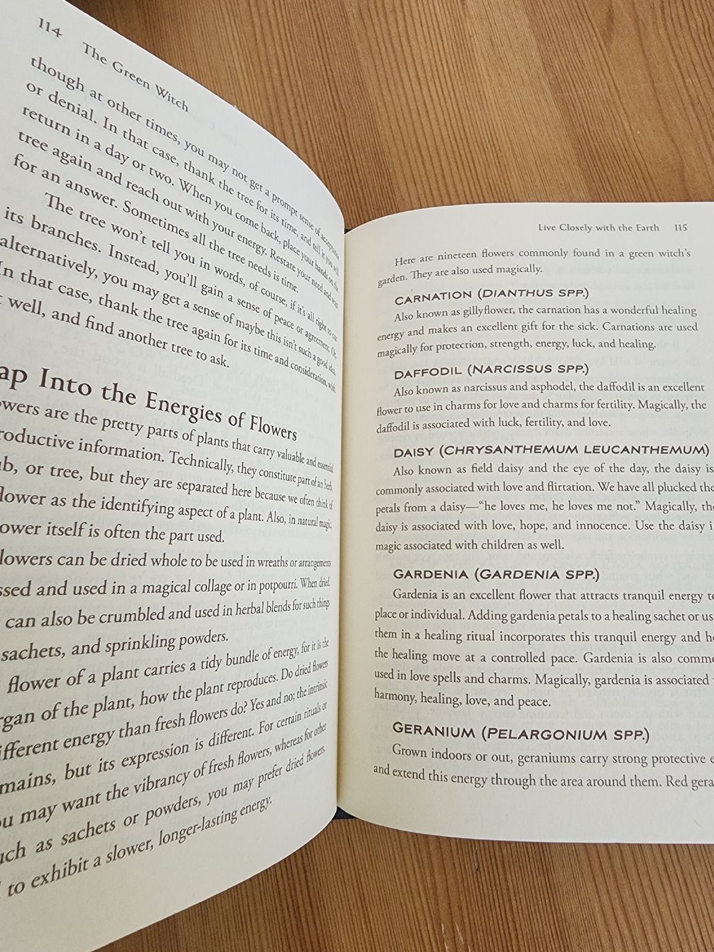 Libri: The Green Witch Buchmvon Arin Murphy Hiscock – Nuovo (secondo la descrizione) da Berneck venduto da erato6 2
