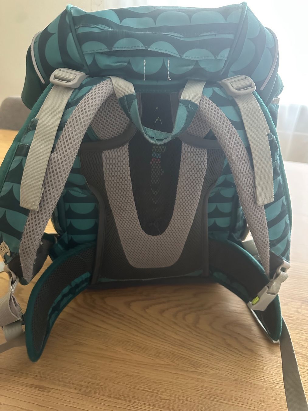 Ergobag Sacs & sacs à dos: Ergobag Rucksack 20.- – D'occasion à Langnau i. E. par hul_kqv6 1