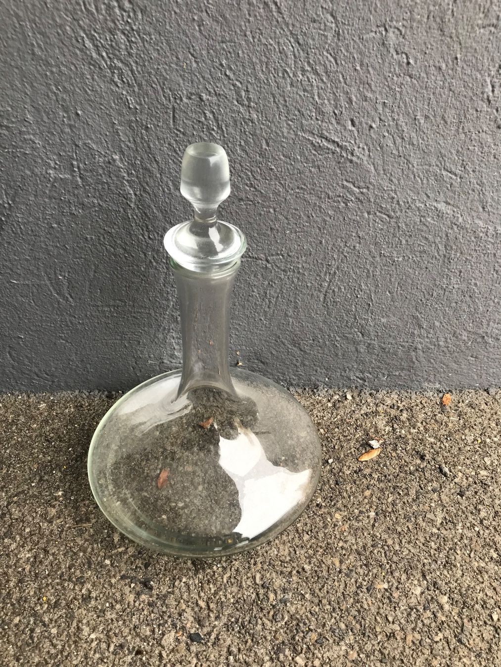 Caraffe: Karaffe – Usato da Niederscherli venduto da ija_y67c 1