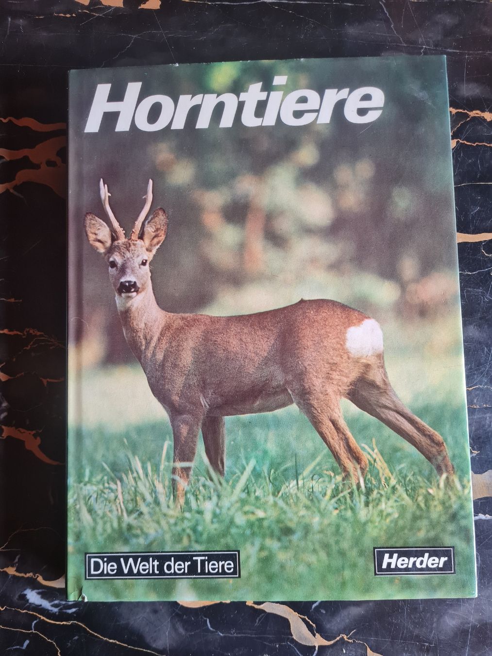 Libri: Die Welt der Tiere 4 Bände Herder Tierbücher – Usato da Bäretswil venduto da Rio. 6