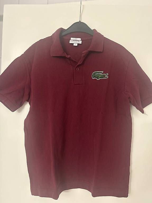 Polo-Shirts: Polo Lacoste  – Gebraucht aus Uvrier von dan_kk2z 2