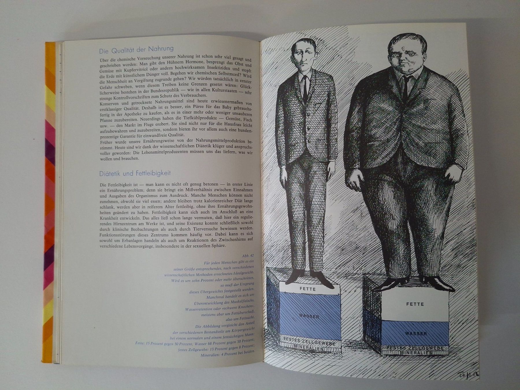 Bücher: Das Buch der Gesundheit 13 – Gebraucht aus Reichenburg von AK307 2