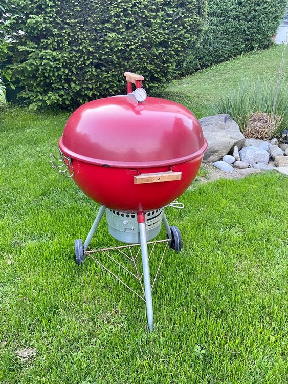 Weber Grill Kaufen auf Ricardo