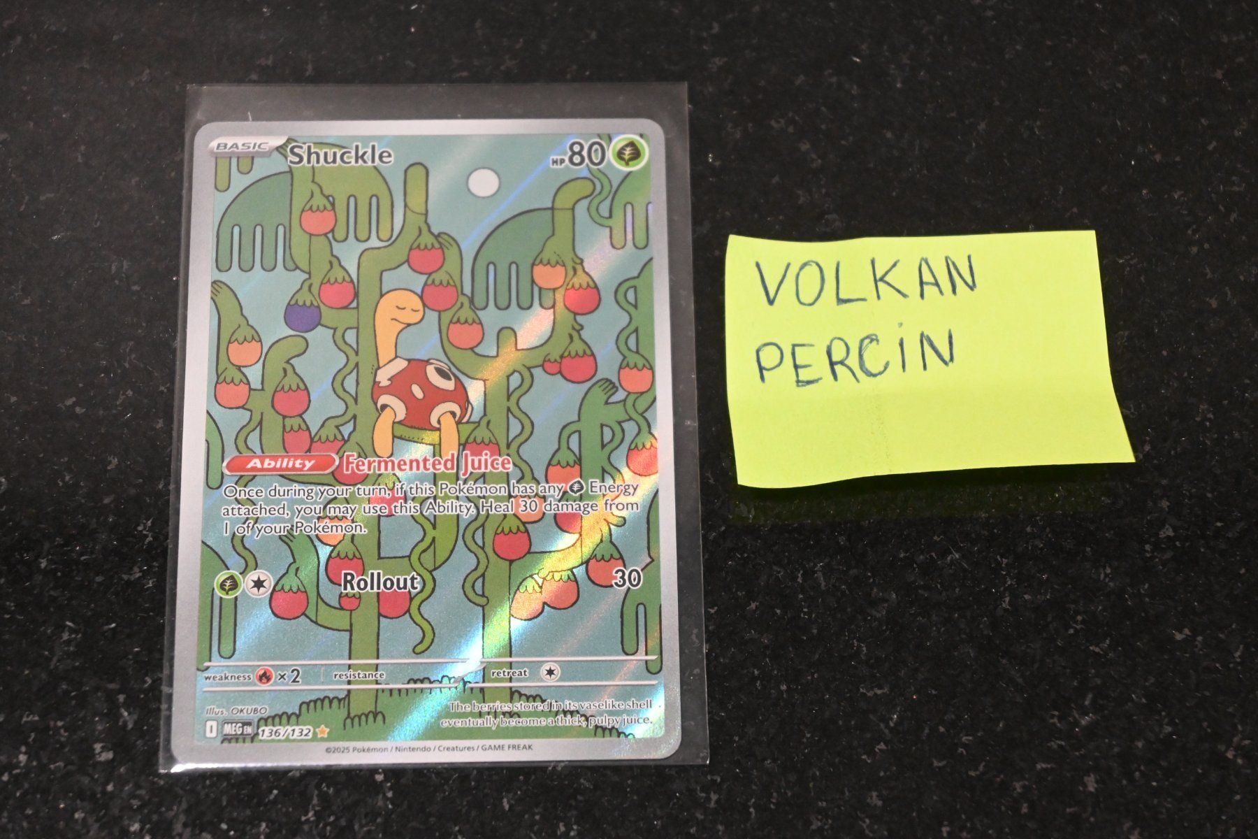 Pokémon Carte collezionabili: Shuckle #136 Pokemon Mega Evolution – Nuovo (secondo la descrizione) da Aigle venduto da PSAPOKEVOVO