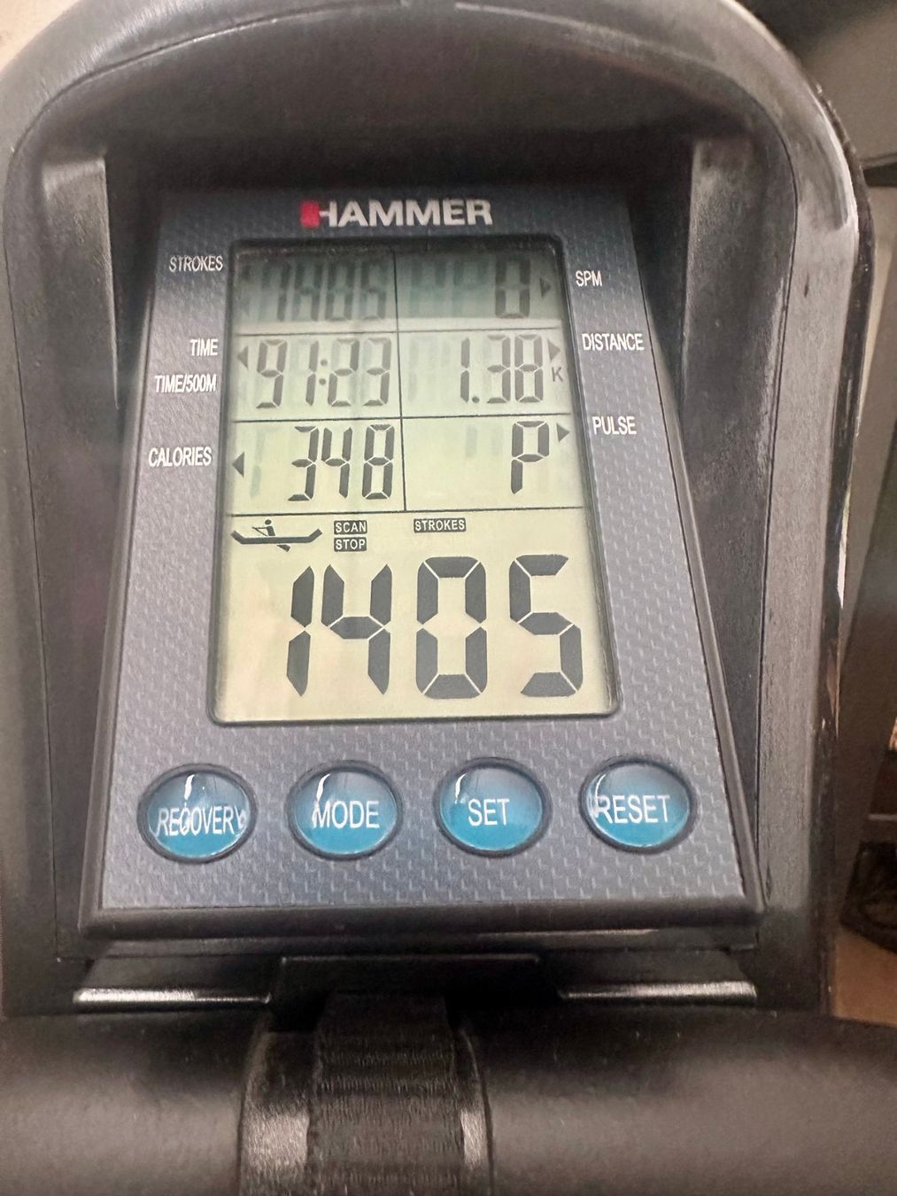 Hometrainer: Rameur Hammer Cobra XT – Usato da Sion venduto da Pattibuehler 1
