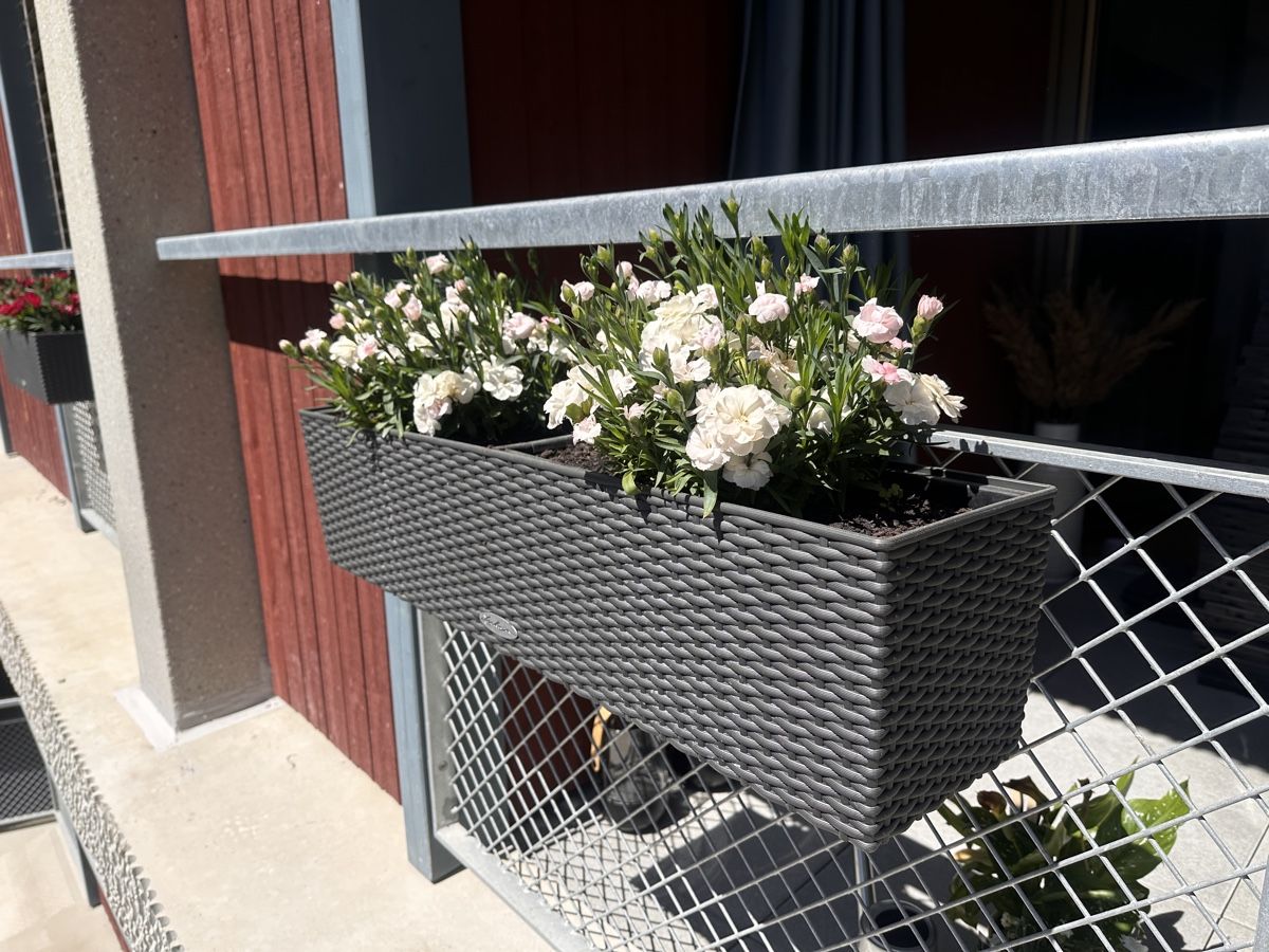 Lechuza Vasi per fiori: Lechuza Balconera Cottage – Nuovo (secondo la descrizione) da Biel/Bienne venduto da Blueflug 5