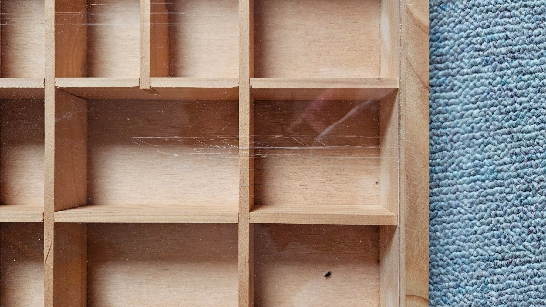 Vetrine: Setzkasten mit Plexiglasabdeckung – Usato da Zunzgen venduto da mareha5 2