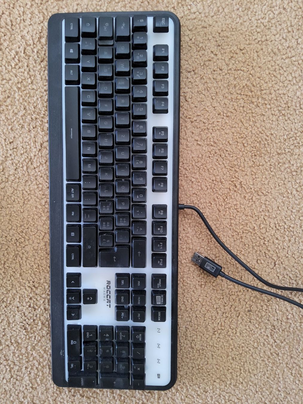 Roccat Tastiere: Membran Tastatur – Usato da Niederbipp venduto da donaldo11 4