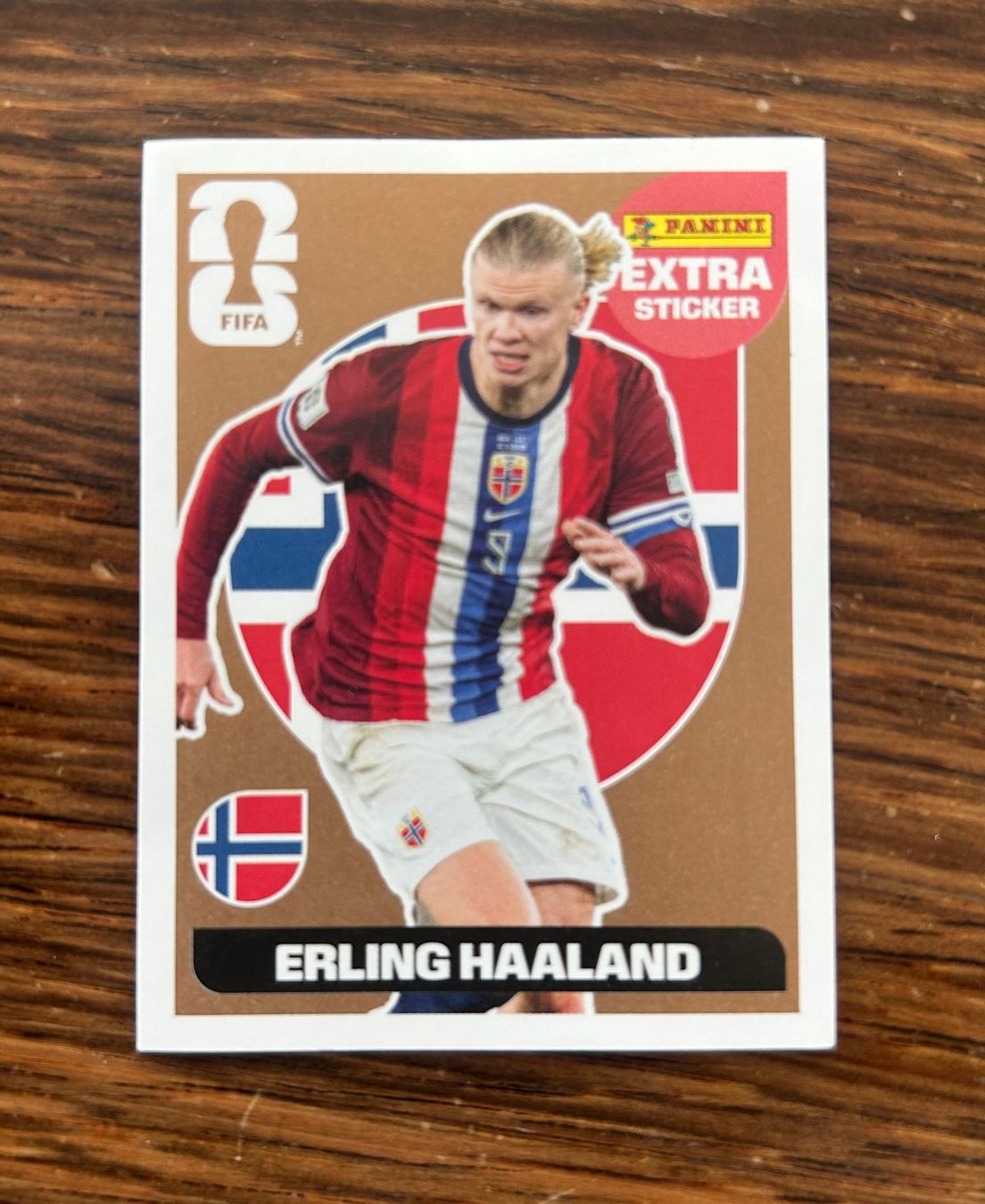 Panini Cartes à collectionner: Erling Haaland Extra Sticker bronze – D'occasion à Solothurn par Reto_A1