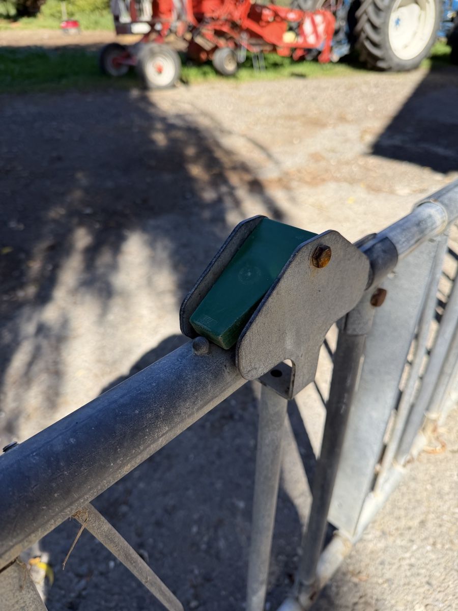Autres accessoires pour animaux: Fressgitter kälber – D'occasion à Oberwil b. Büren par kun_zg7k 2